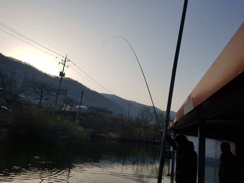 아산 산들낚시터의 3월29일에 올리는 모습입니다 (유료터정보 - 유료터점주조황)