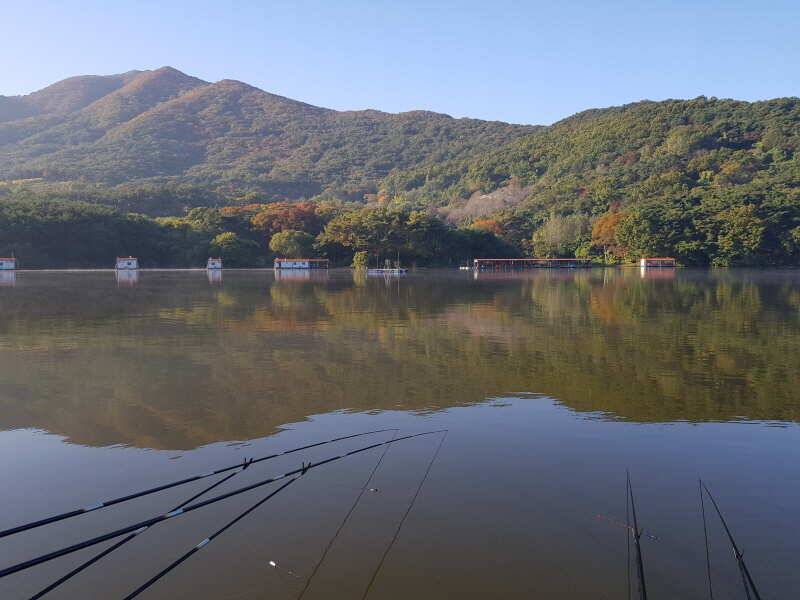 산들낚시터의 금요일 모습입니다 (유료터정보 - 유료터점주조황)