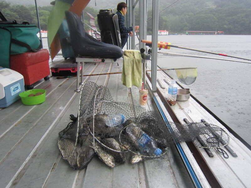 산들낚시터의 장마 비 내리는 7월 첫날 모습 올립니다 (유료터정보 - 유료터점주조황)