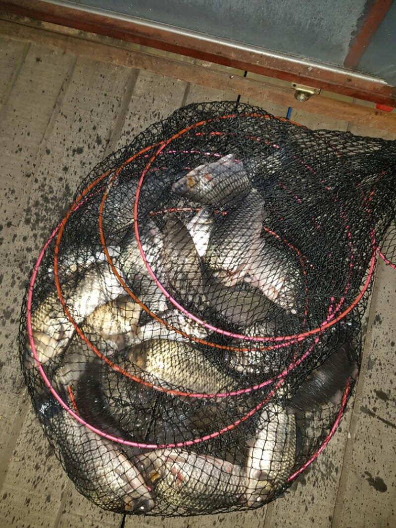fish_pay_d4ebe_012319_35890.jpg