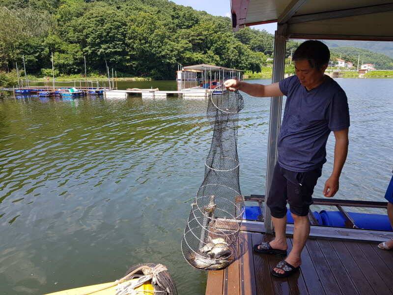 산들 머슴쓰러지기 일보직전에 올리는 주중 모습 입니다 (유료터정보 - 유료터점주조황)