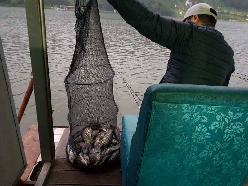 자빠져도 엎어져도 나오는 산들의 어제 모습 (유료터정보 - 유료터점주조황)