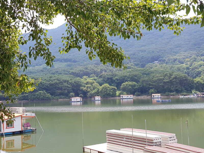아산 산들낚시터의 8월14일에 올리는 어제그제 모습입니다 (유료터정보 - 유료터점주조황)