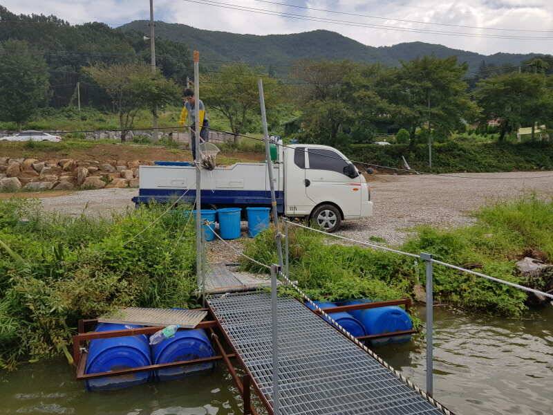 아산 산들낚시터의 9월8일에 올리는 금요일 모습입니다 (유료터정보 - 유료터점주조황)