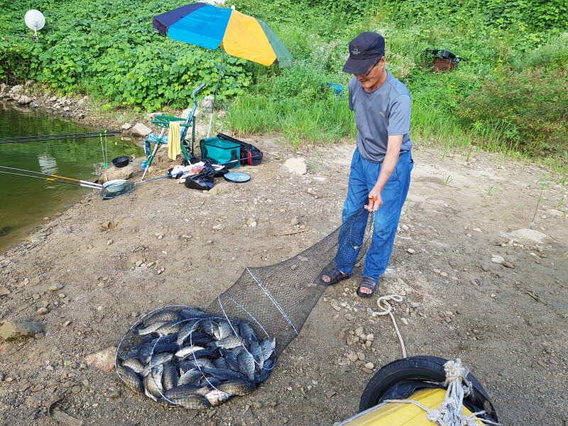 아산 산들낚시터의 7월 28일에 올리는 금요일 모습 입니다 (유료터정보 - 유료터점주조황)