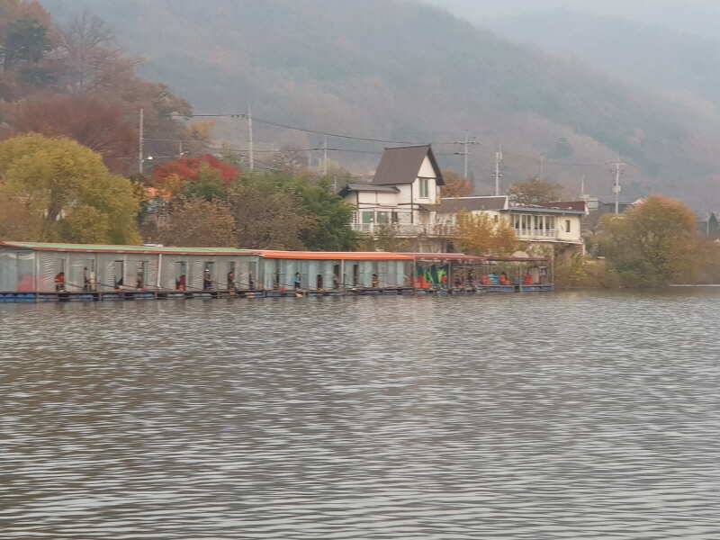 산들낚시터의 11월 12일에 올리는 주말 모습입니다 (유료터정보 - 유료터점주조황)