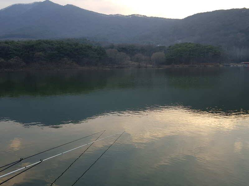 오랜만에 올리는 산들낚시터의 소식입니다 (유료터정보 - 유료터점주조황)