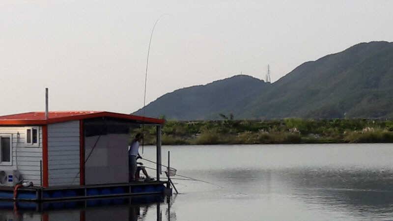 산들낚시터의 9월 첫째주 주말 모습 올립니다 (유료터정보 - 유료터점주조황)