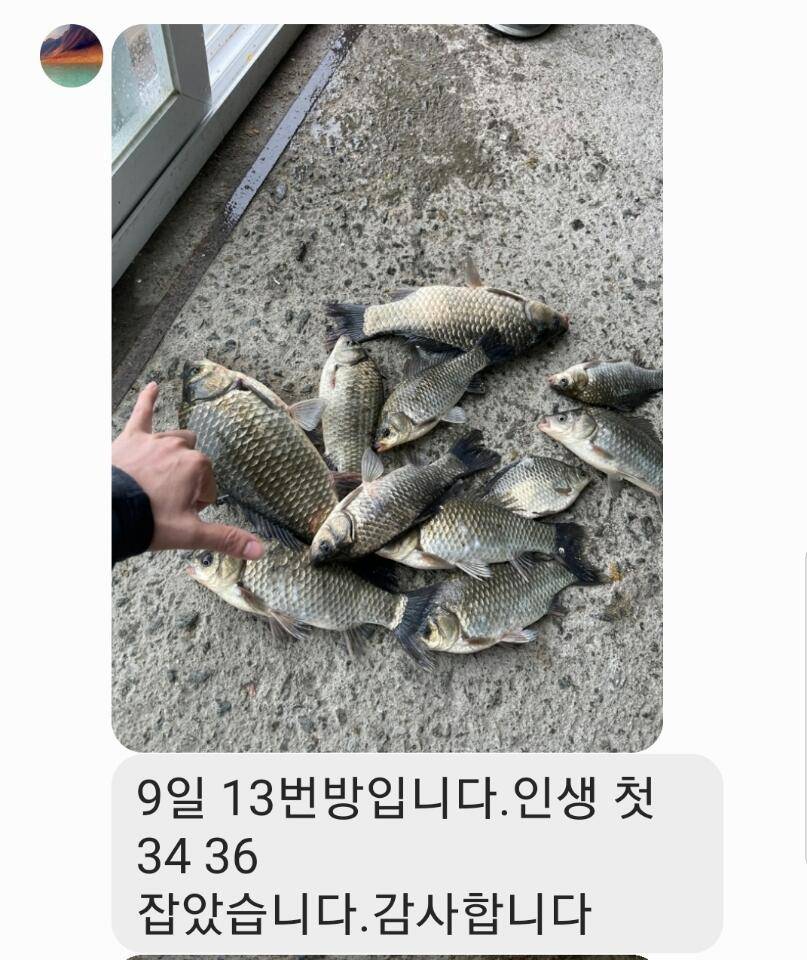 2021년 5월 셋째주 조황정보 용인 용담낚시터사암지 (유료터정보 - 유료터점주조황)