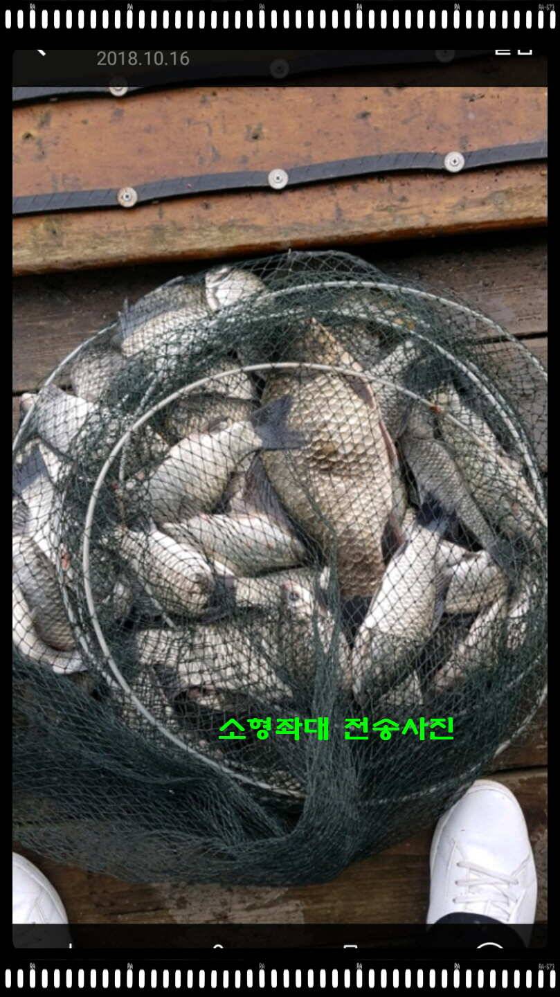 신원낚시터 10월 16일 조황소식과 방류 동영상입니다 (유료터정보 - 유료터점주조황)