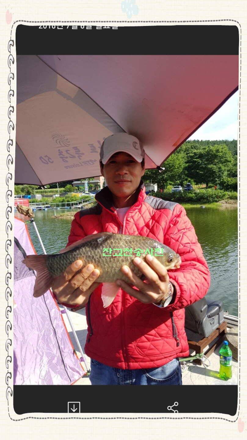 신원낚시터 7월 10일 조황 소식입니다 (유료터정보 - 유료터점주조황)