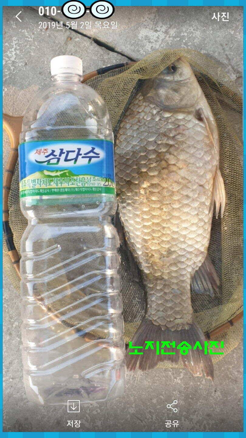신원낚시터 토종대물 4짜가 풍년입니다풍년 (유료터정보 - 유료터점주조황)
