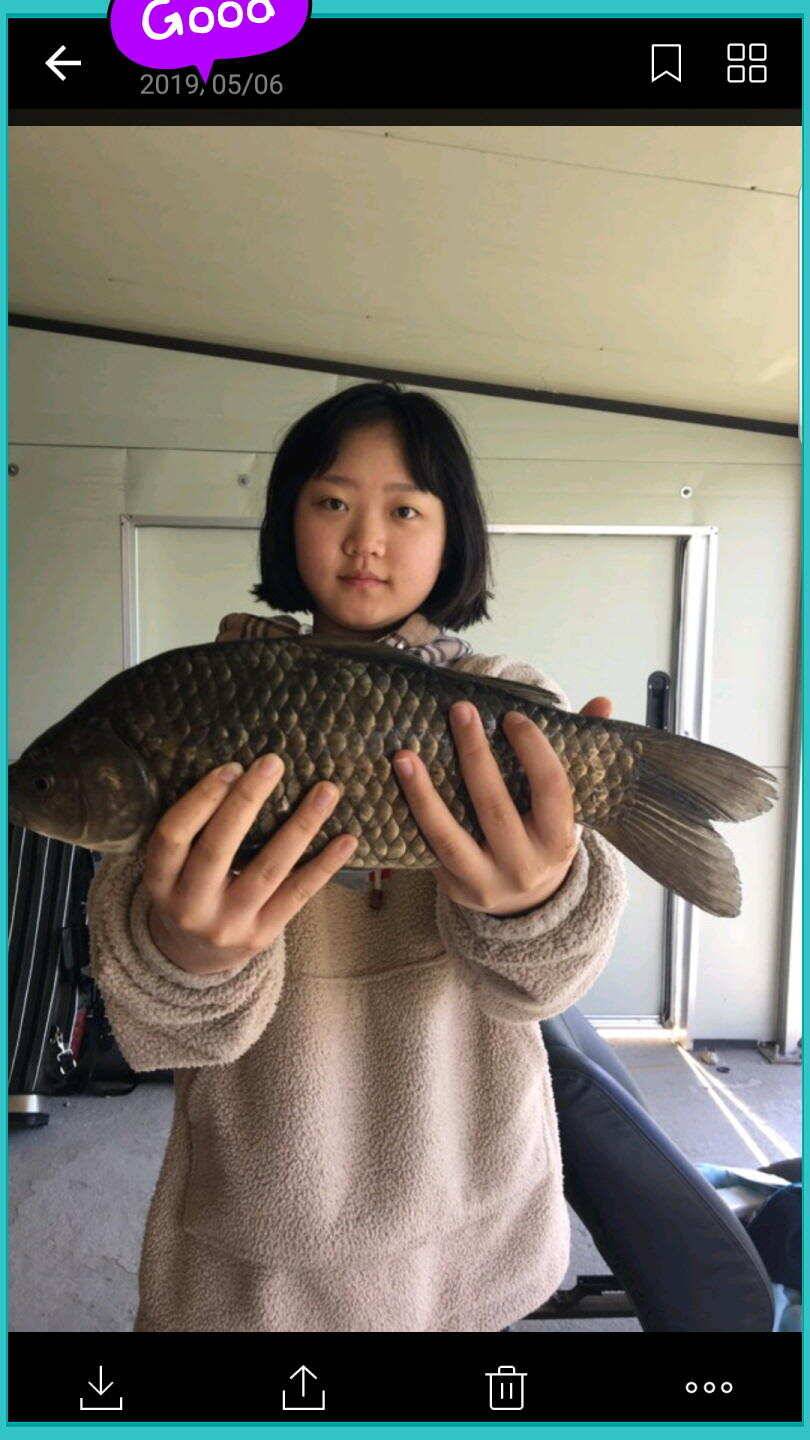신원낚시터 토종대물 덩어리와 4짜가 계속 나옵니다쭉 (유료터정보 - 유료터점주조황)