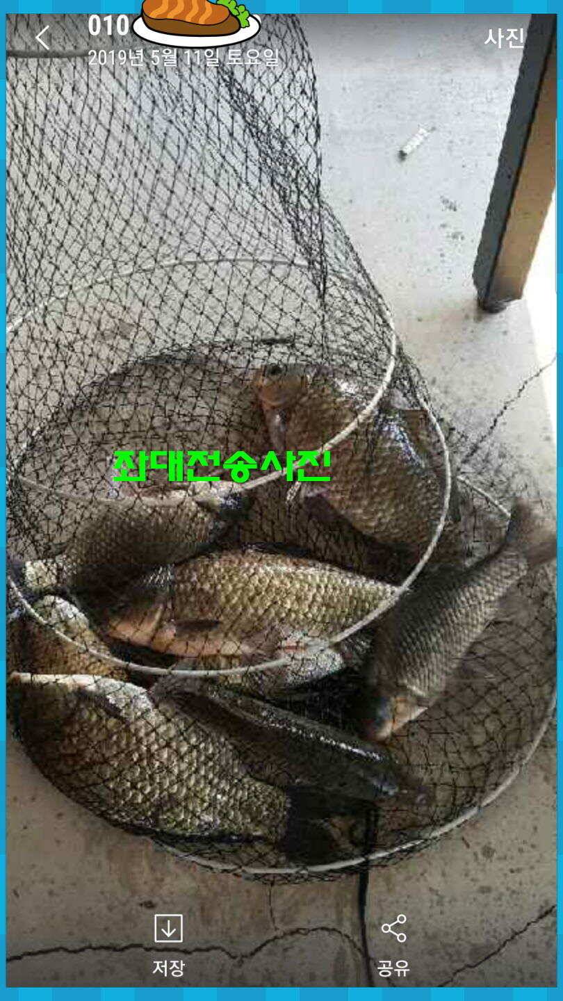 신원낚시터 토종대물 4짜 소식 식상허쥬 사진만 올립니다 (유료터정보 - 유료터점주조황)