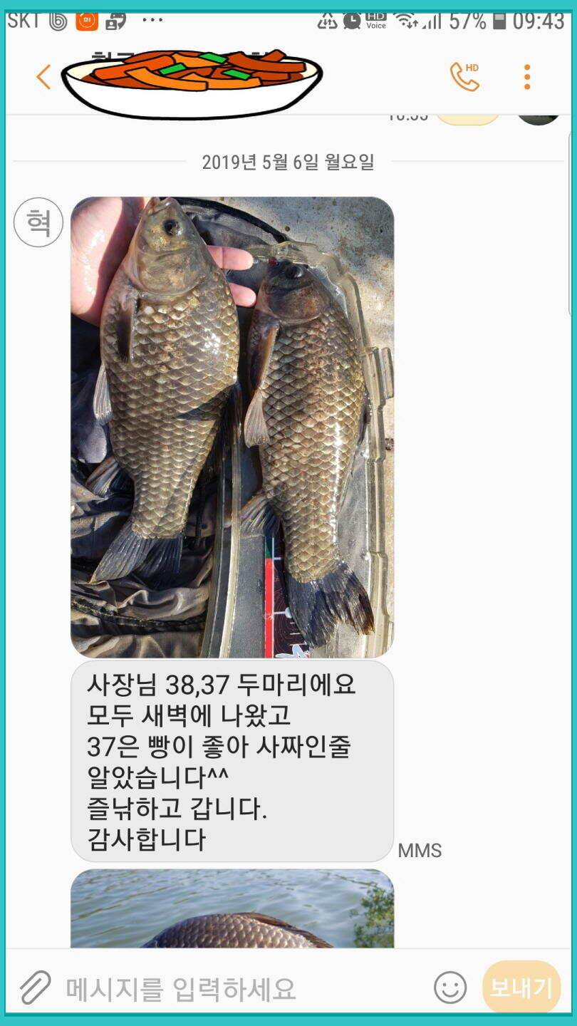 신원낚시터 토종대물 덩어리와 4짜가 계속 나옵니다쭉 (유료터정보 - 유료터점주조황)
