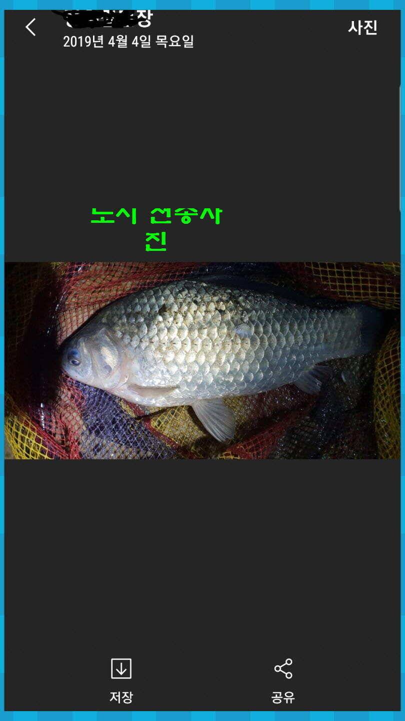 신원낚시터 토종대물 4짜 소식입니다 (유료터정보 - 유료터점주조황)