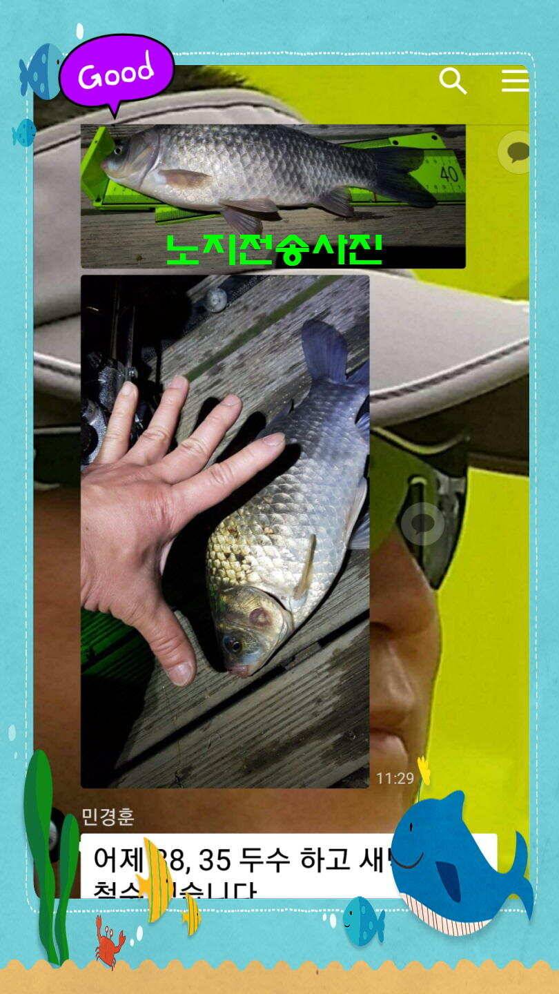 신원낚시터 토종대물 4짜 소식입니다 (유료터정보 - 유료터점주조황)