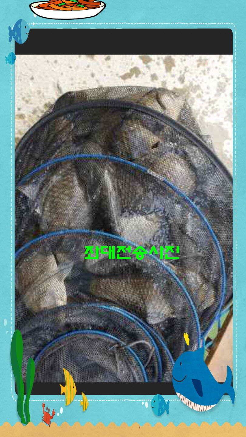 신원낚시터 토종대물 4짜 소식입니다 (유료터정보 - 유료터점주조황)