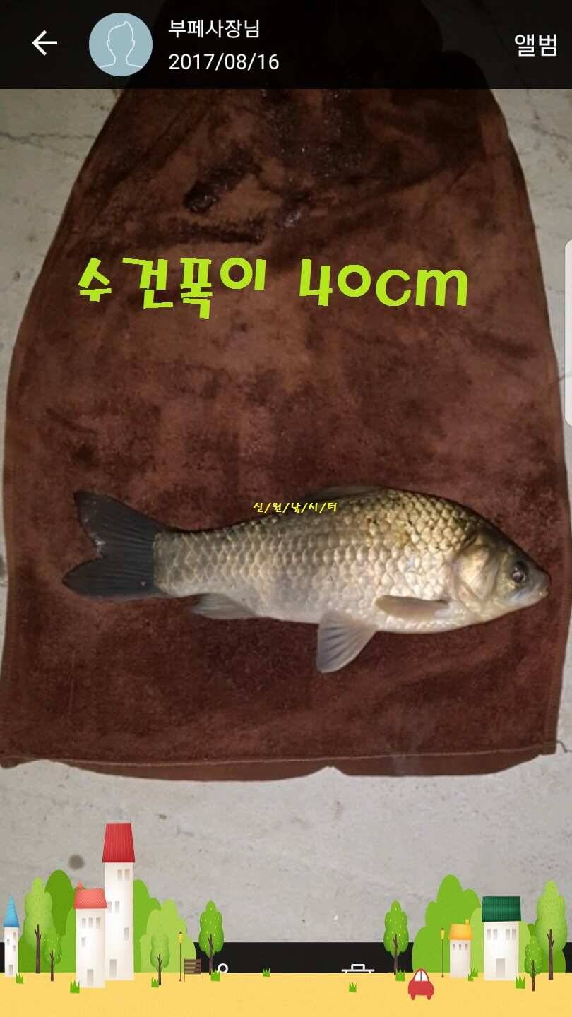 신원낚시터 8월셋쨋주 조황소식입니다 (유료터정보 - 유료터점주조황)