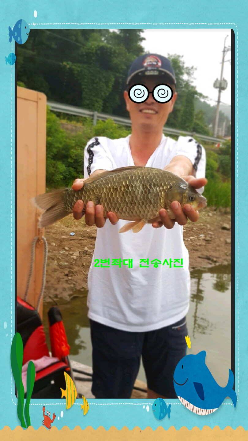 신원낚시터 8월 첫쨋주 조황 소식입니다 (유료터정보 - 유료터점주조황)