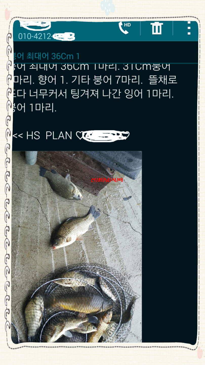 신원낚시터7월셋쨋주 조황소식과 토종붕어 방류동영상 (유료터정보 - 유료터점주조황)