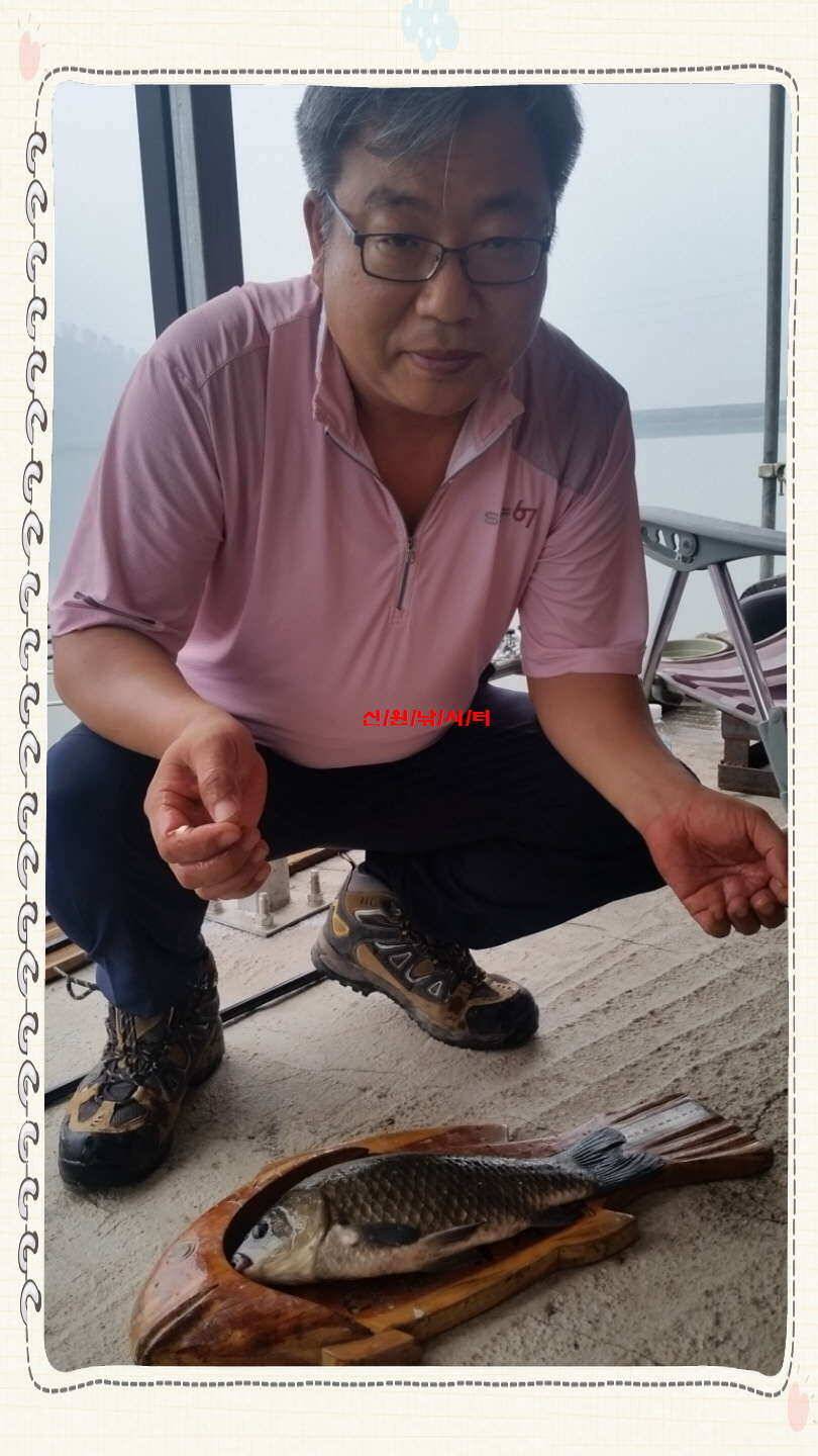 신원낚시터7월셋쨋주 조황소식과 토종붕어 방류동영상 (유료터정보 - 유료터점주조황)