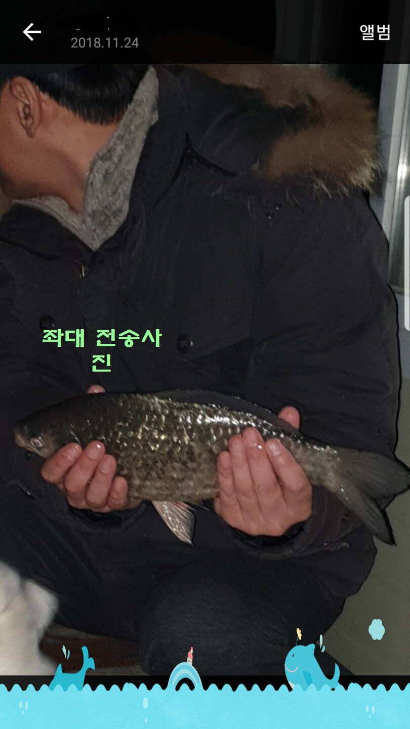 신원낚시터 11월 마지막주 조황소식과 방류 동영상 입니다 (유료터정보 - 유료터점주조황)