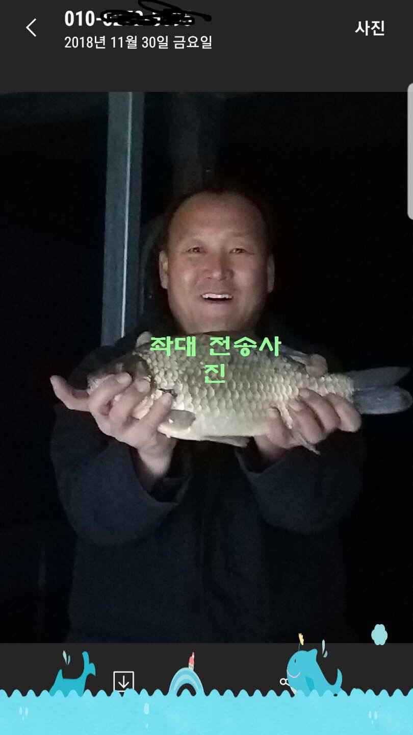 신원낚시터 11월 마지막주 조황소식과 방류 동영상 입니다 (유료터정보 - 유료터점주조황)