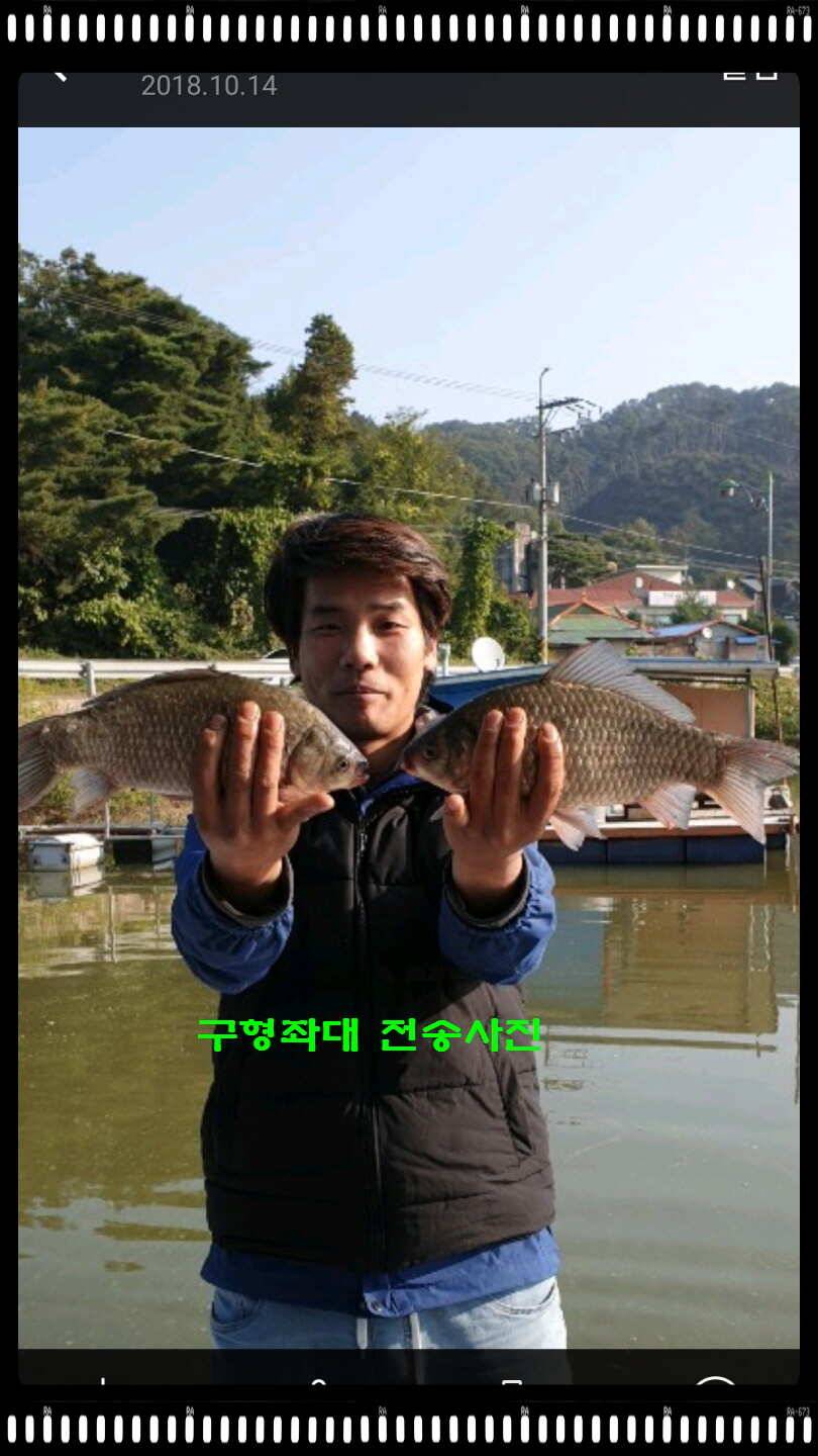 신원낚시터 10월 16일 조황소식과 방류 동영상입니다 (유료터정보 - 유료터점주조황)