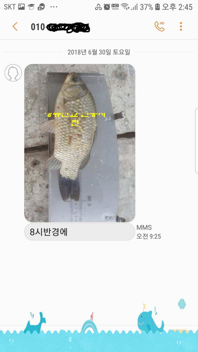 신원낚시터 7월 2일 만수위 4짜 소식입니다 (유료터정보 - 유료터점주조황)