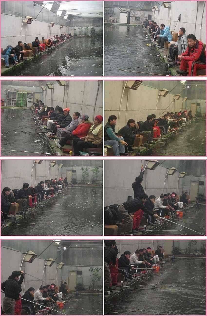 맹목적 순응 (유료터정보 - 유료터점주조황)