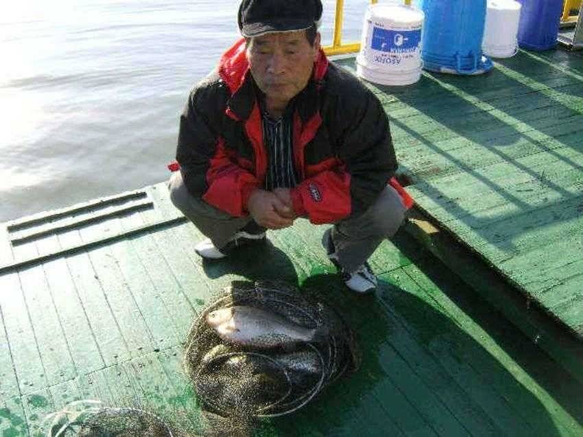 ★ 조선일보 마라톤 과 월척 32cm ★ (유료터정보 - 유료터점주조황)