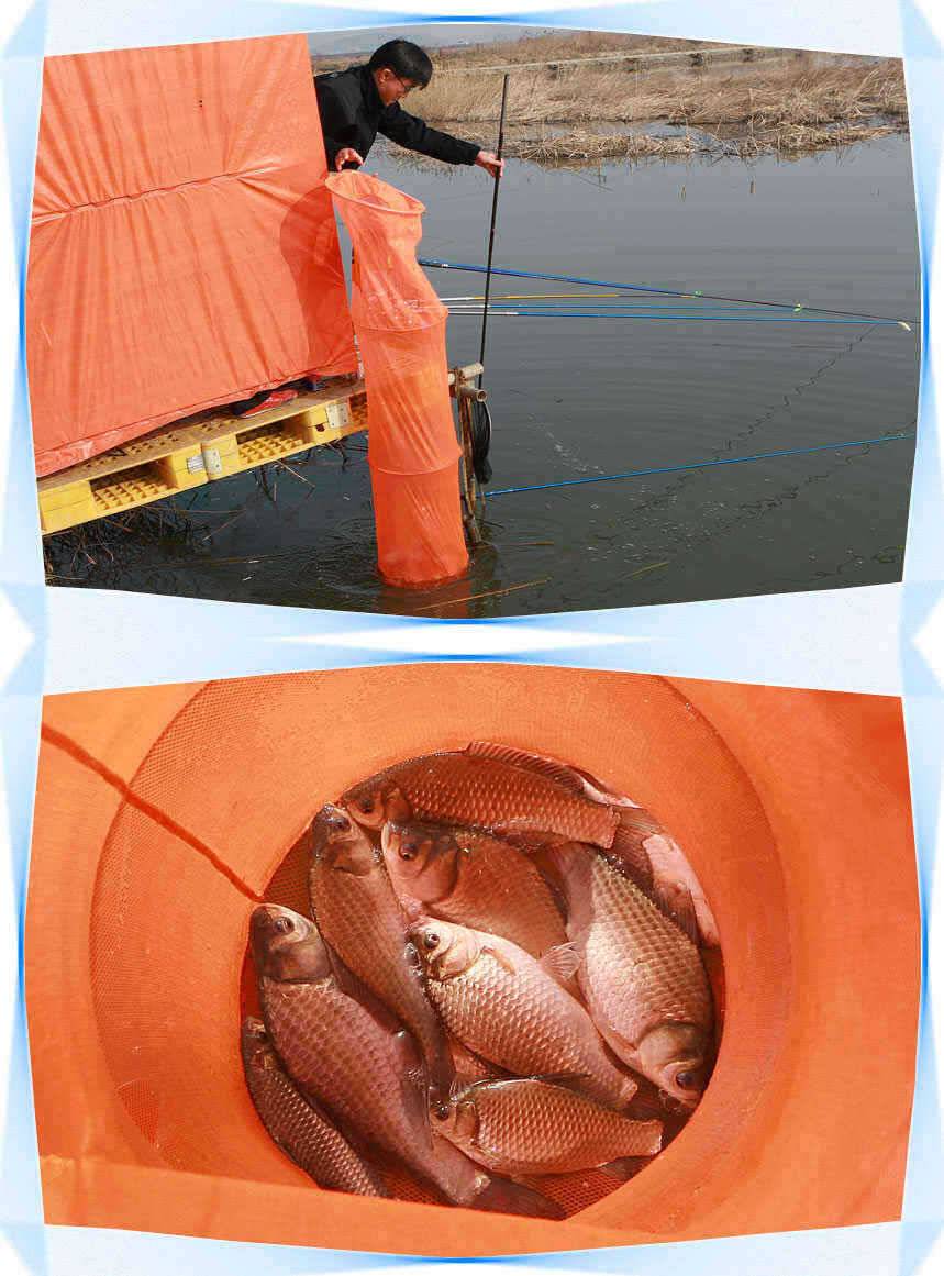■■■ 노진낚시터 노지 붕어산란 시작 ■■■ (유료터정보 - 유료터점주조황)