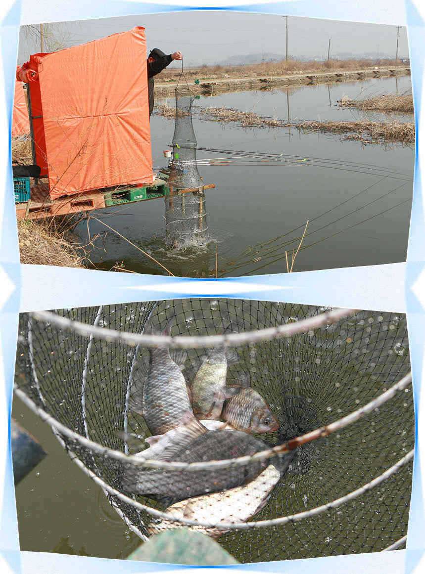 ■■■ 노진낚시터 노지 붕어산란 시작 ■■■ (유료터정보 - 유료터점주조황)