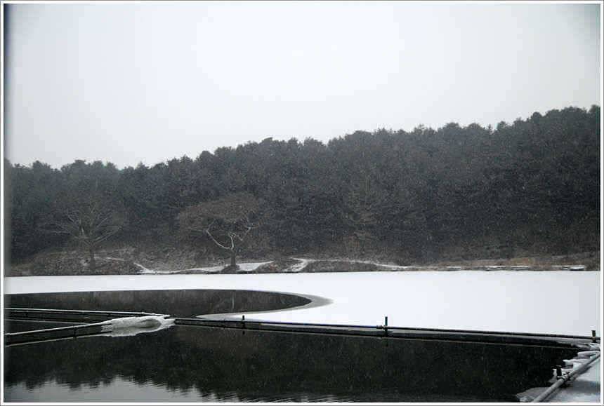덩어리의 신년 인사 (유료터정보 - 유료터점주조황)