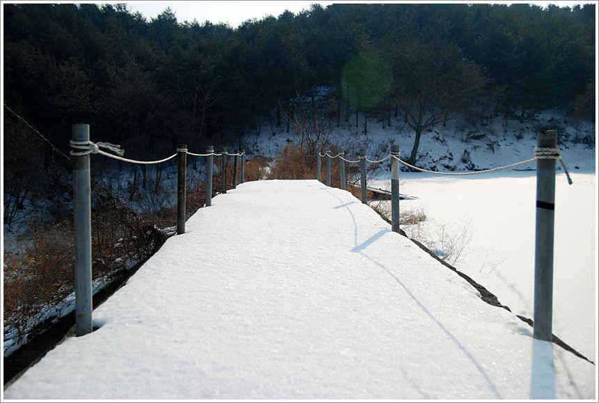 부진한 조황에 일희일비一喜一悲 (유료터정보 - 유료터점주조황)
