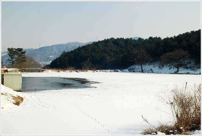 부진한 조황에 일희일비一喜一悲 (유료터정보 - 유료터점주조황)