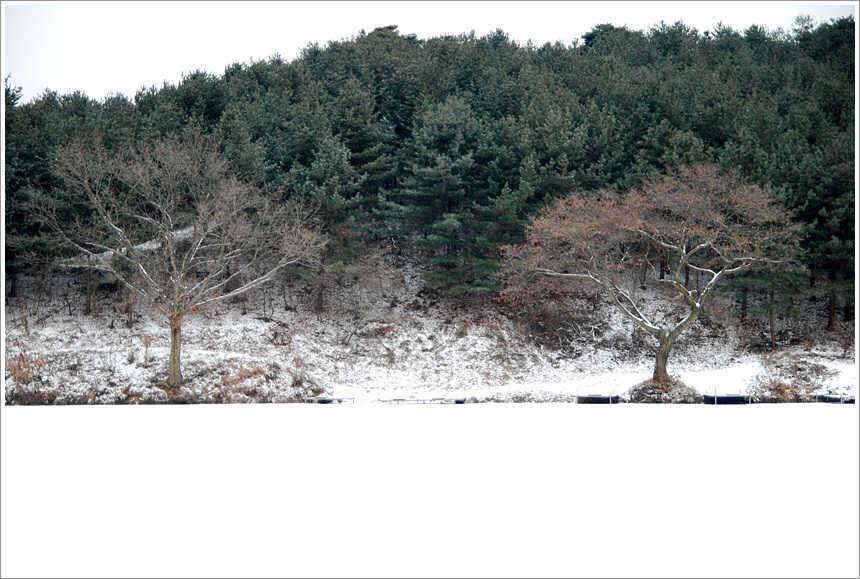 덩어리의 신년 인사 (유료터정보 - 유료터점주조황)