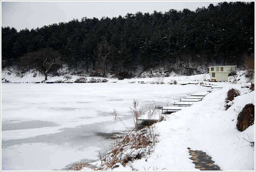 겨울과 봄의 공존 (유료터정보 - 유료터점주조황)