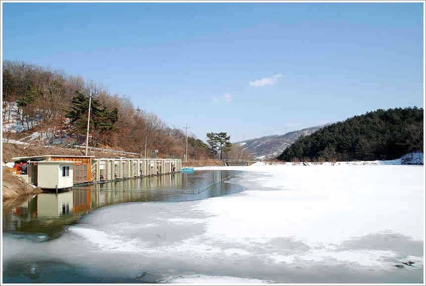 겨울과 봄의 공존 (유료터정보 - 유료터점주조황)