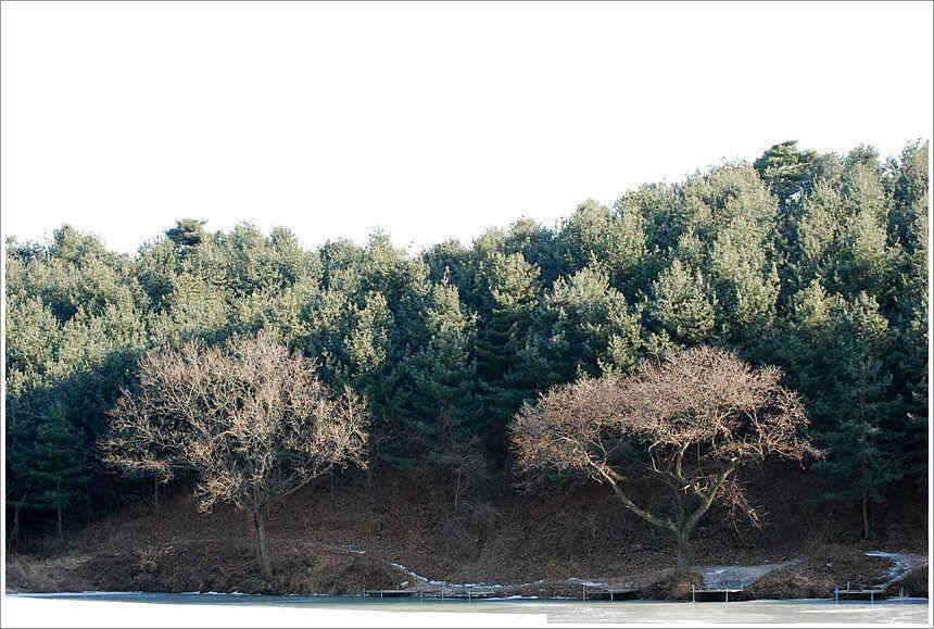 계절의 변화는 (유료터정보 - 유료터점주조황)