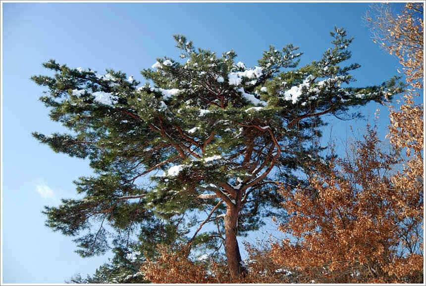회암 추운 날씨이지만 (유료터정보 - 유료터점주조황)