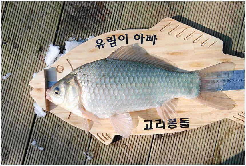 회암 옥동자개그맨 정종철의 낚시 (유료터정보 - 유료터점주조황)