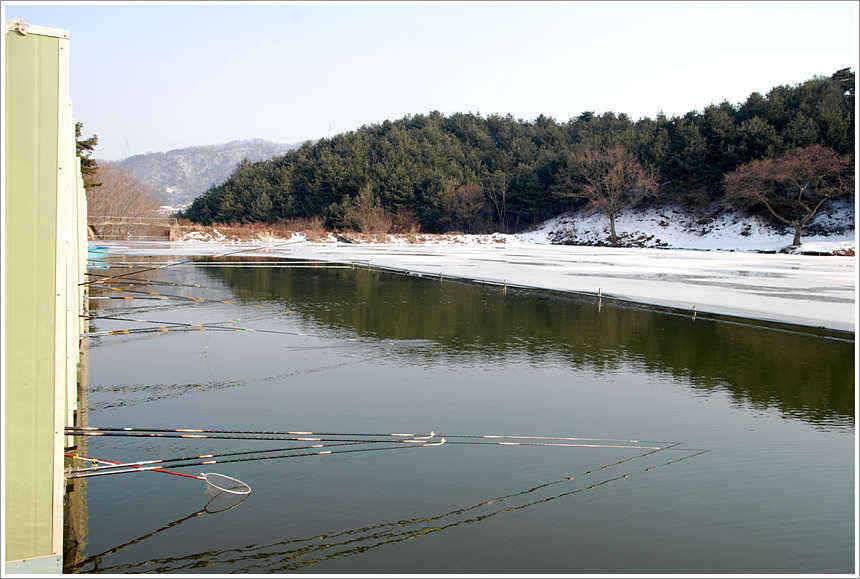 겨울과 봄의 공존 (유료터정보 - 유료터점주조황)