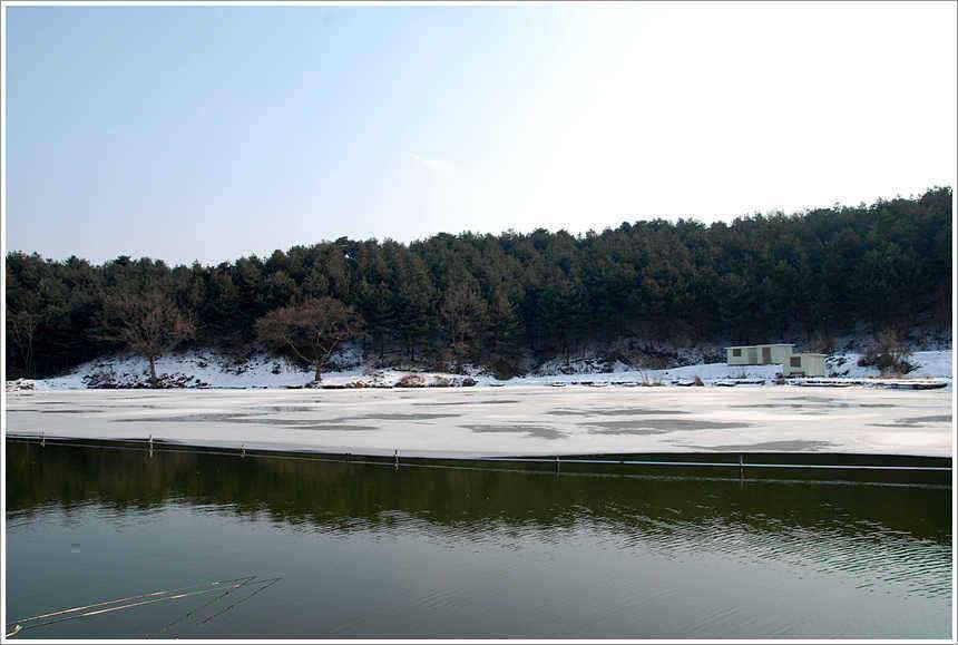 겨울과 봄의 공존 (유료터정보 - 유료터점주조황)