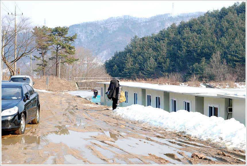 겨울과 봄의 공존 (유료터정보 - 유료터점주조황)