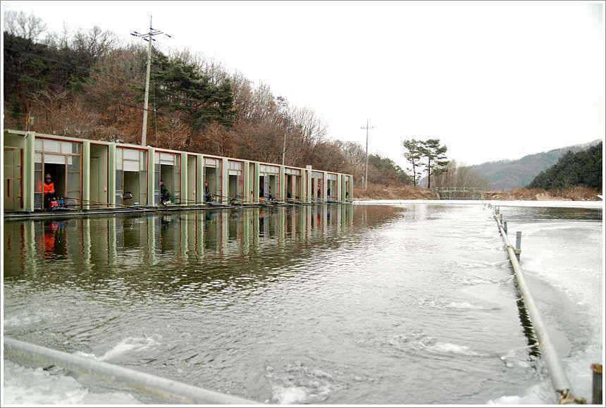 덩어리의 신년 인사 (유료터정보 - 유료터점주조황)