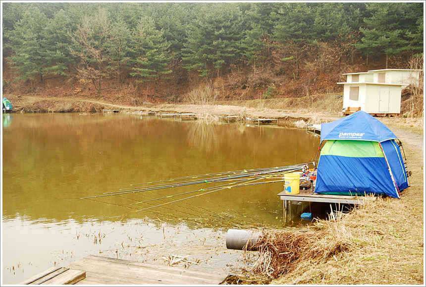 회암 관 고기급의 조과를 거두고 (유료터정보 - 유료터점주조황)