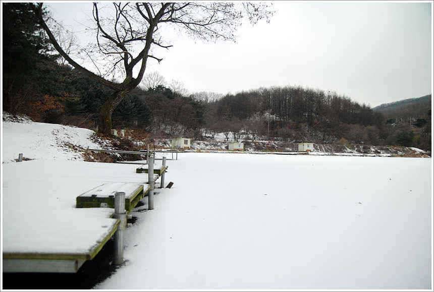 덩어리의 신년 인사 (유료터정보 - 유료터점주조황)
