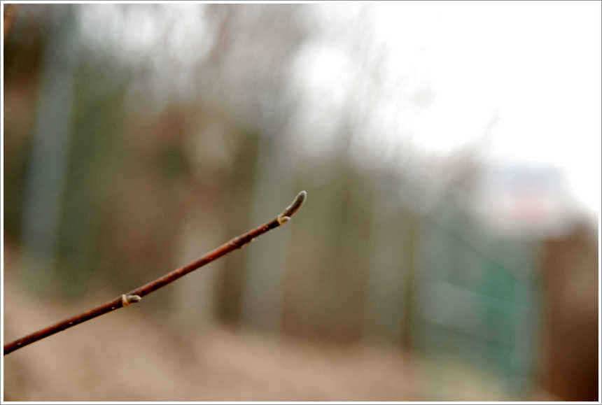 겨울의 끝자락에서 (유료터정보 - 유료터점주조황)
